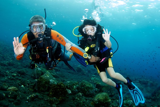 Scuba Diving Tour From Alanya - Side - Antalya - Tour Overview
