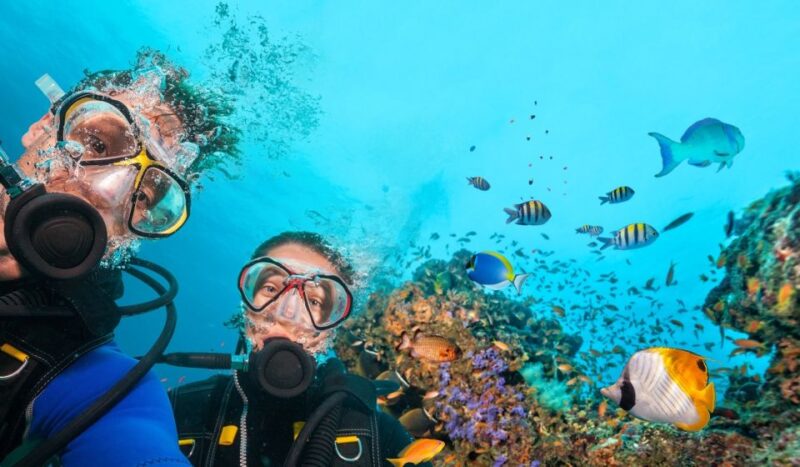 Scuba Diving Tour From Marmaris and Icmeler - Key Points