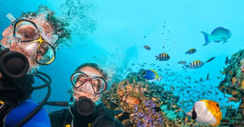 Scuba Diving Tour From Marmaris and Icmeler - Itinerary Summary
