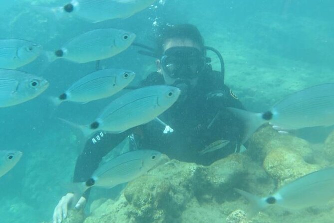 Scuba Diving Tour in Alanya - Meeting and Pickup