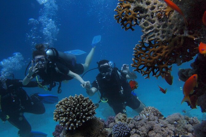Scuba Diving Tour in Antalya - Booking and Pricing Information