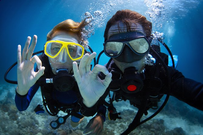 Scuba Diving Tour in Bodrum - Tour Highlights