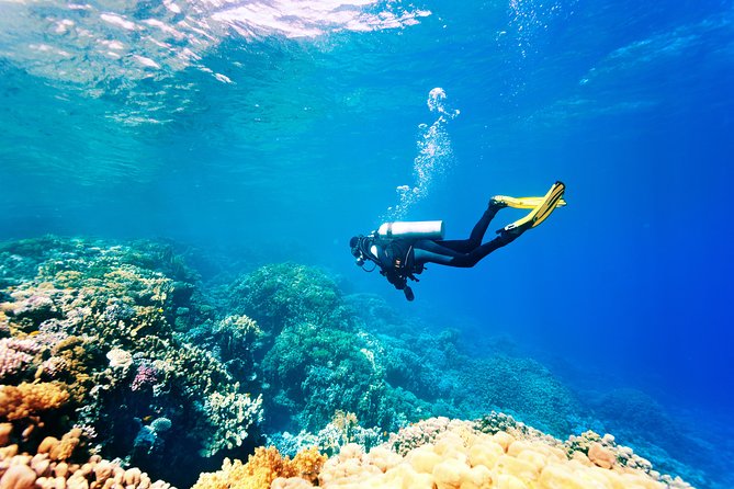 Scuba Diving Tour in Bodrum - Suitability and Accessibility