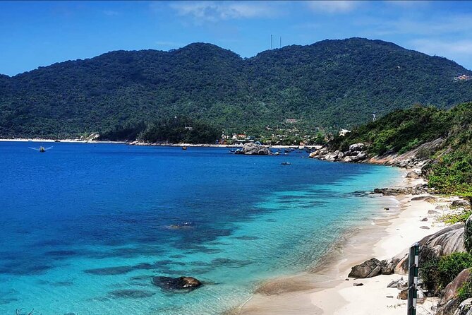 Scuba Diving Tour in Cham Island for Certified Divers or Beginners - Key Points