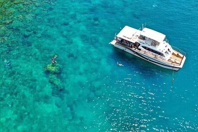 Scuba Diving Tour in Cham Island for Certified Divers or Beginners - Participant Experience