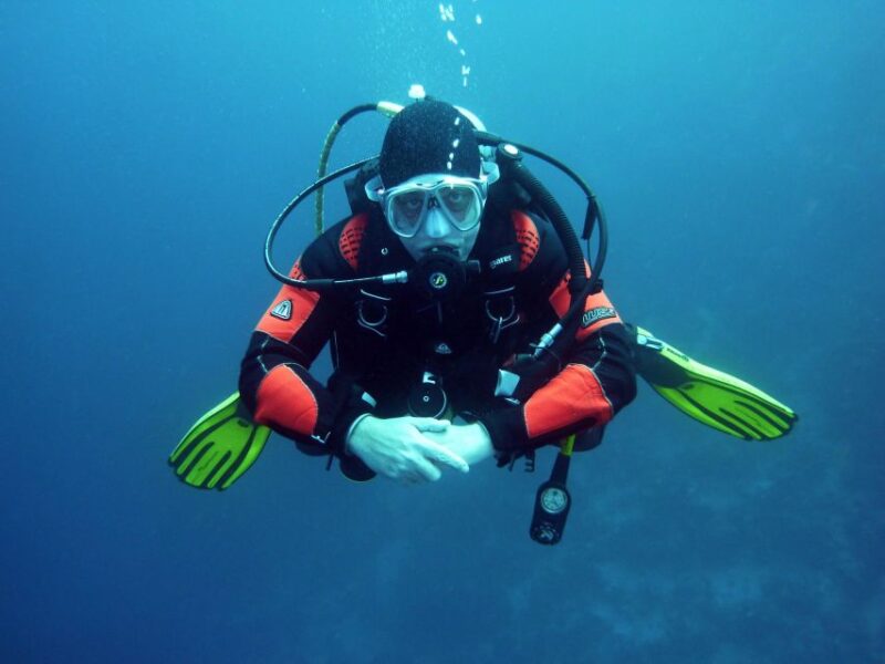 Scuba Diving Tour in Puerto Plata Hotel/Shore - Exploring the Diverse Marine Ecosystem
