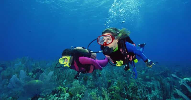 Scuba Diving Tour With Transfer From Alanya and City of Side - Key Points
