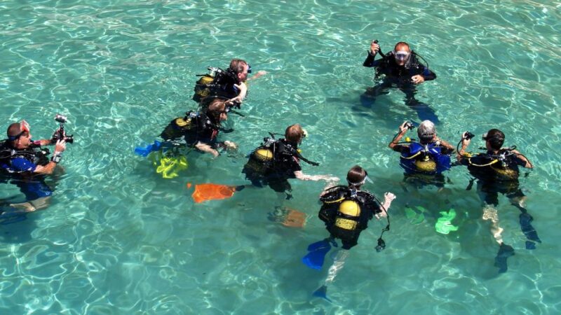 Scuba Diving Tour With Transfer From Alanya and City of Side - Safety and Conditions