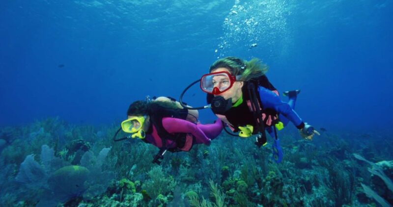 Scuba Diving Tour With Transfer From Alanya and City of Side - Highlights for Beginners