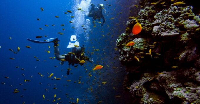 Scuba Diving Tour With Transfer From Alanya and City of Side - Booking and Cancellation Policy