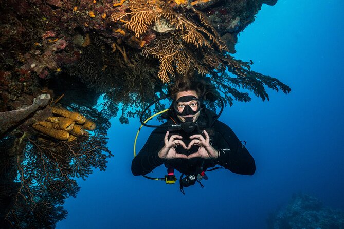 Scuba Diving Tours - Customer Feedback