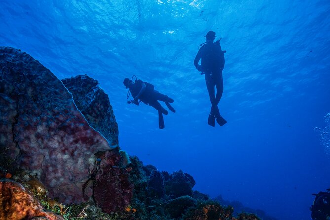 Scuba Diving Tours - Booking Information