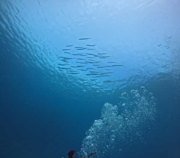 Scuba Diving Trip by Boat to the Beloved Spots Near Phuket - Guided by PADI Professionals