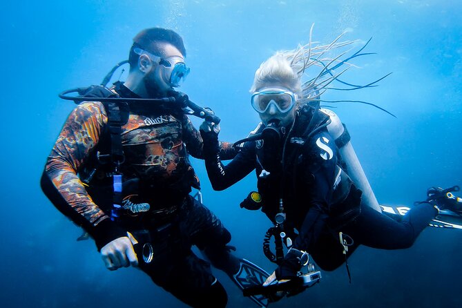 Scuba Diving Trip to Sail Rock From Koh Phangan (Certified Divers) - Dive Site Highlights and Unique Features