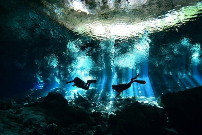 Scuba Diving Tulum Beginners: Explore the Underwater World - Key Points
