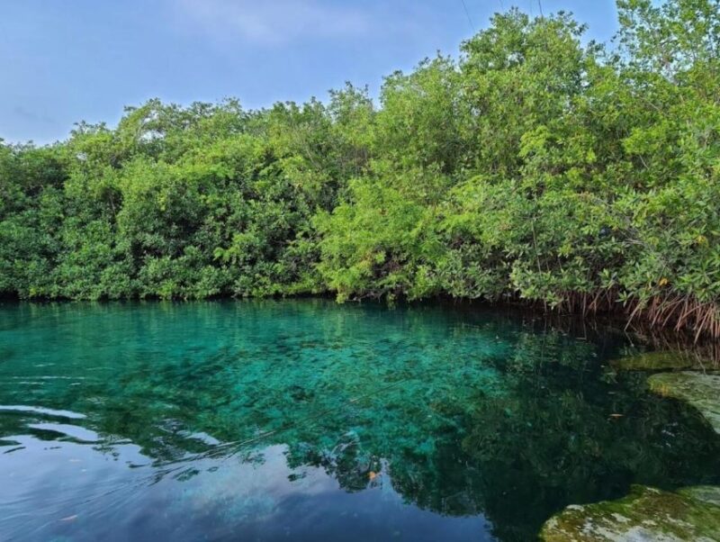 Scuba Diving Tulum Beginners: Explore the Underwater World - Pricing and Inclusions
