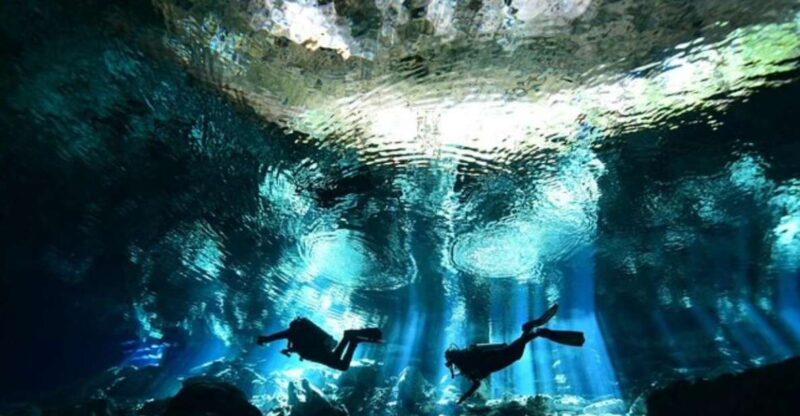 Scuba Diving Tulum Beginners: Explore the Underwater World - Dive Experience Highlights