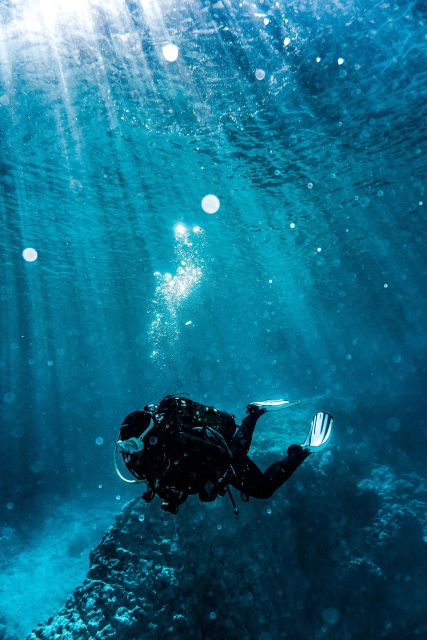 Scuba Diving Tulum Beginners: Explore the Underwater World - Itinerary and Schedule