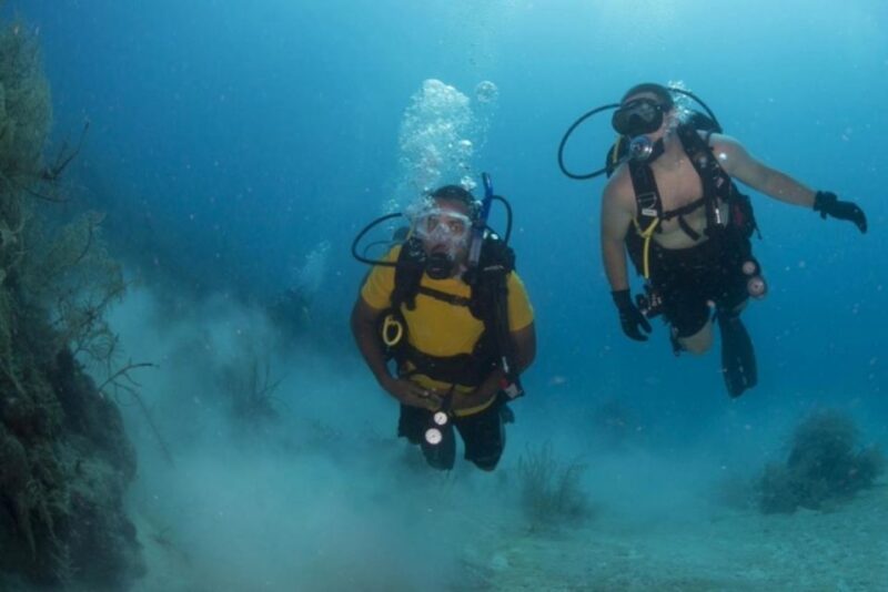 Scuba Diving Tulum Beginners: Explore the Underwater World - Equipment and Certification