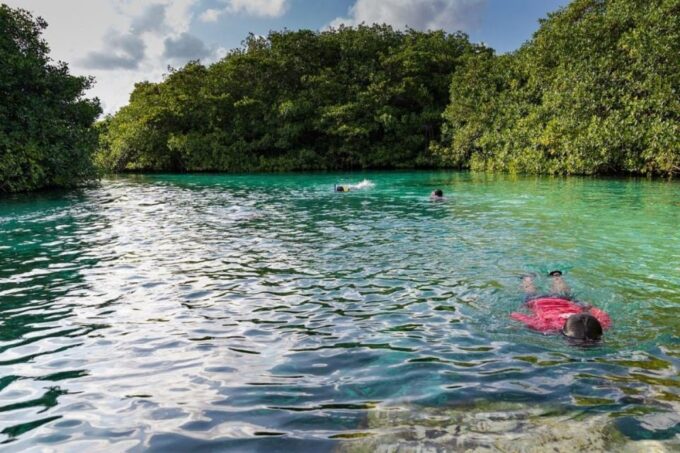 Scuba Diving Tulum Beginners: Explore the Underwater World - Important Considerations