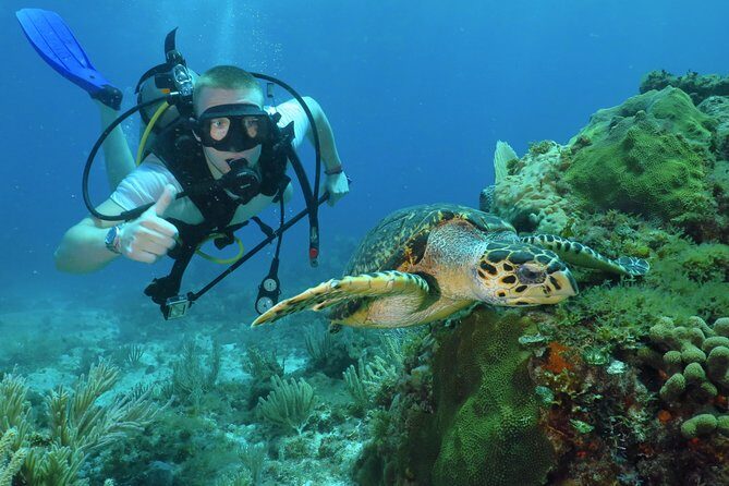 Scuba Diving Under Water Museum and Reef for beginners - A Practical Look at Cancun’s Beginner-Friendly Underwater Excursion