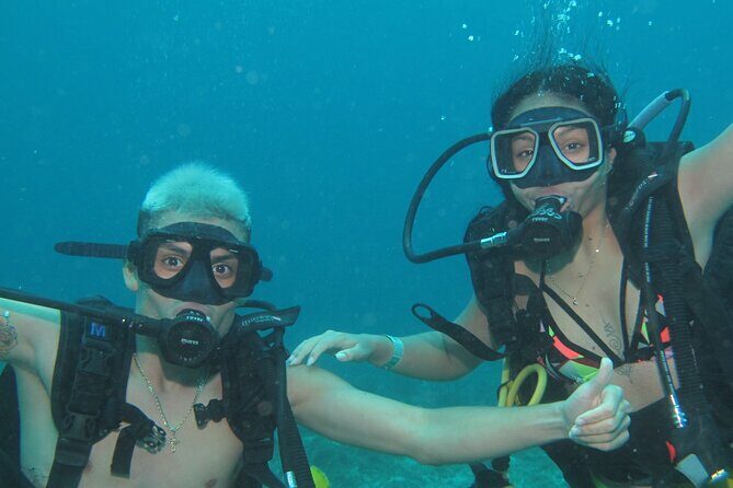 Scuba Diving Under Water Museum and Reef for beginners - The Value and Who Should Consider This Tour