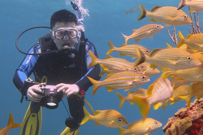 Scuba Diving Under Water Museum and Reef for beginners - Final Thoughts