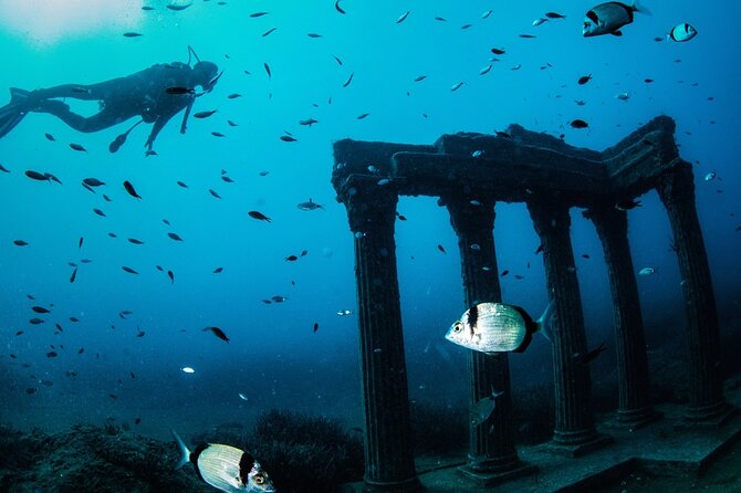 Scuba Diving Under Water Museum - Unique Underwater Attraction