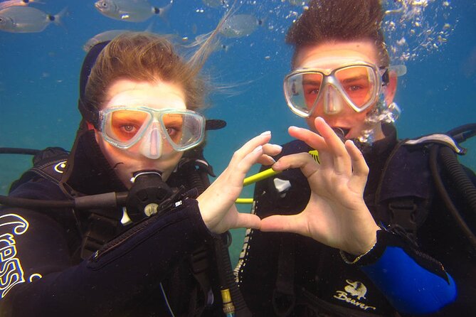 Scuba Diving Under Water Museum - Scuba Diving Experience