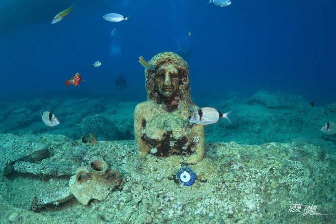 Scuba Diving Under Water Museum - Guest Reviews and Ratings