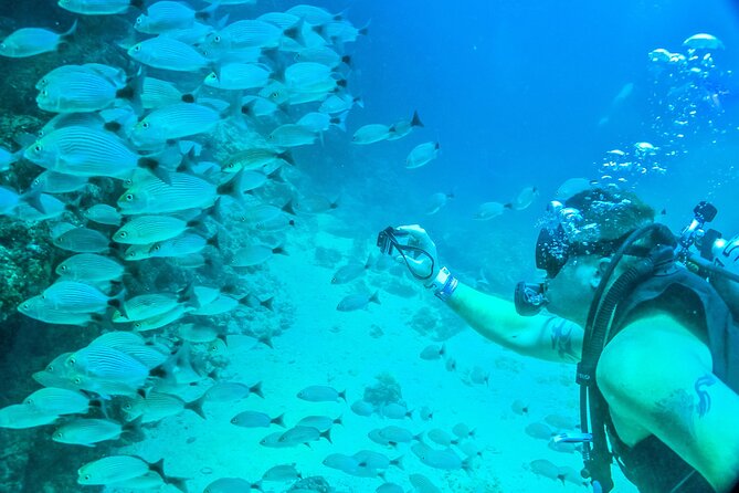 Scuba Diving With a 5-Star PADI Center in Puerto Vallarta - Discover Eco-Reserves and Tropical Fish