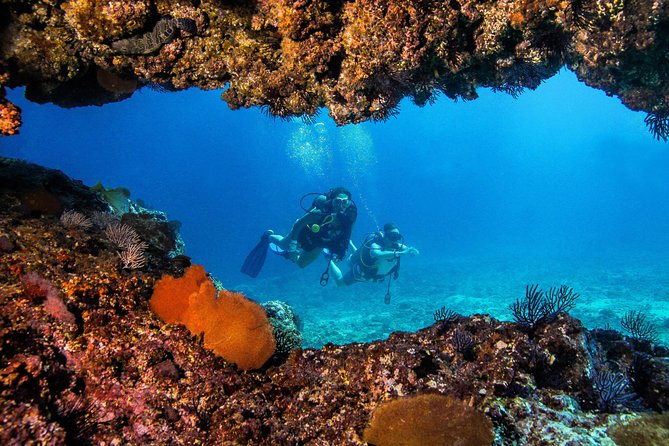 Scuba Diving With a 5-Star PADI Center in Puerto Vallarta - Meeting Point and Departure Options