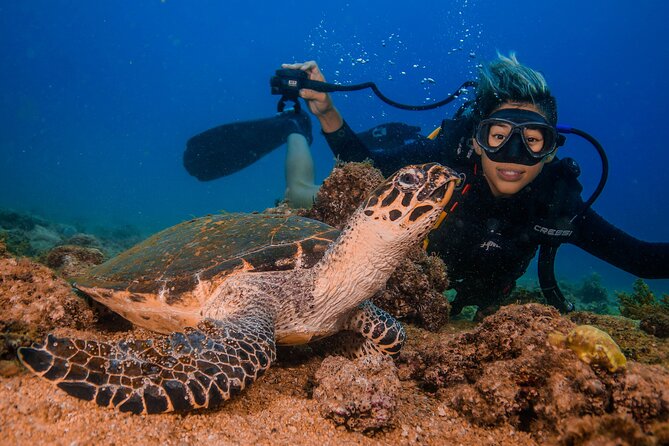 Scuba Diving With a 5-Star PADI Center in Puerto Vallarta - Dive Requirements and Restrictions