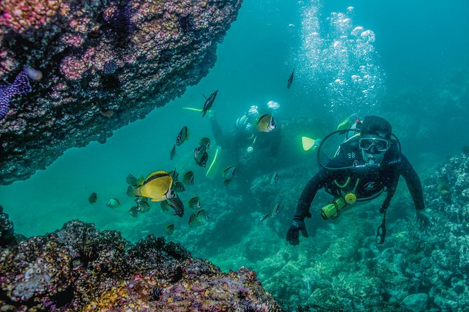 Scuba Diving With a 5-Star PADI Center in Puerto Vallarta - Preparing for Your Scuba Adventure