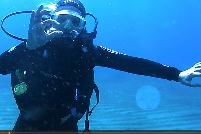 Scuba Diving With Expert Instructor - Schedule and Availability
