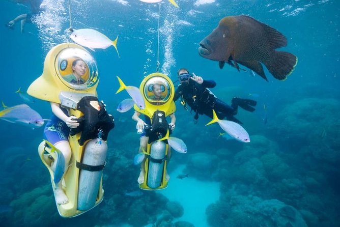 Scuba Doo Diving Experience in Punta Cana - Overall Impressions and Feedback