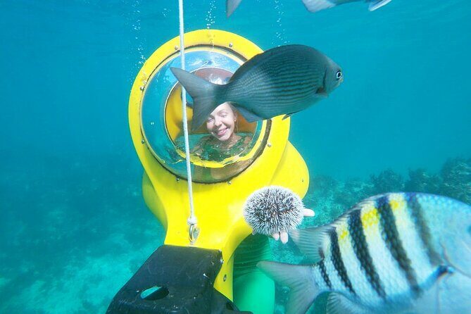 Scuba-Doo Scooter in Punta Cana - What Is the Scuba-Doo Scooter Tour?