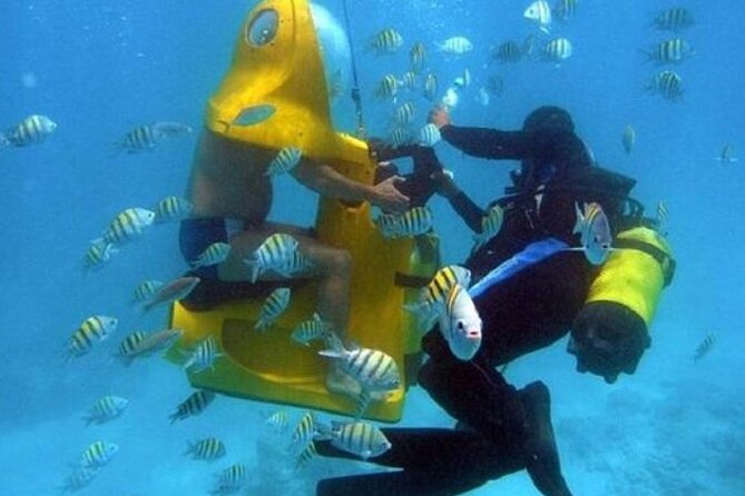 Scuba Doo: Underwater Scooter in Punta Cana (Half-Day Tour) - Exploring the Underwater World