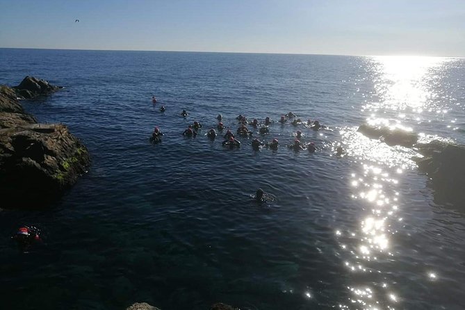 Scuba Experience - Supervised by PADI Instructor