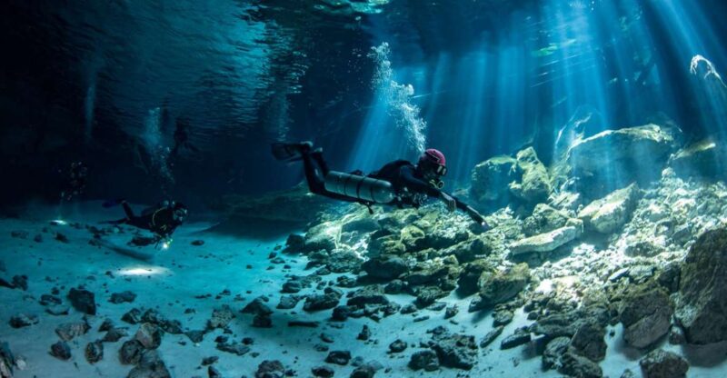 Scuba in 2 Cenotes in a Half-Day - Itinerary