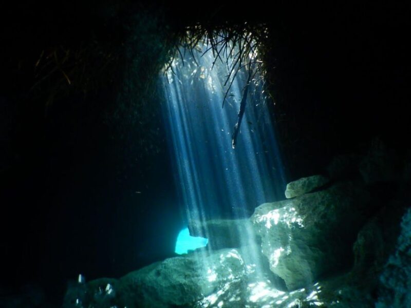 Scuba in 2 Cenotes in a Half-Day - Diving Experience