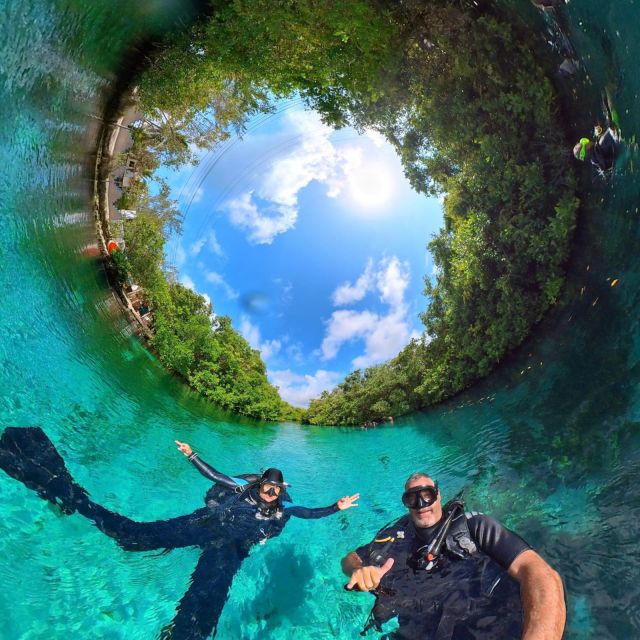 Scuba in 2 Cenotes in a Half-Day - Inclusions