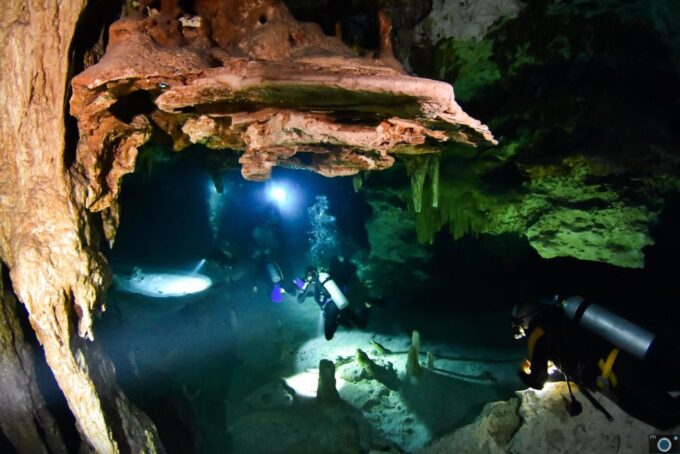 Scuba in 2 Cenotes in a Half-Day - Transportation