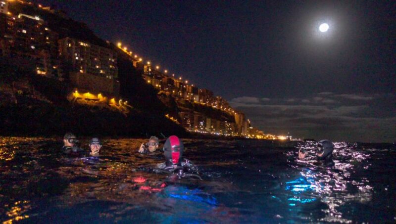 Scuba Night Dive on Tenerife - Pricing and Booking