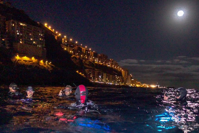 Scuba Night Dive on Tenerife With SCUBANANA - About Your Stay