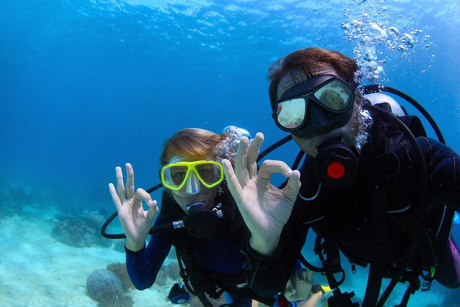 Scuba Referral Dives & Beach Club With Transportation in Riviera Maya - Booking Details and Pricing