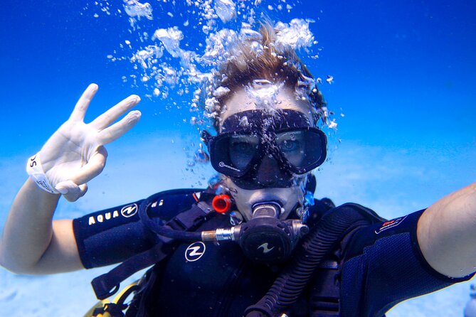 Scuba Referral Dives & Beach Club With Transportation in Riviera Maya - Bilingual Guide Support