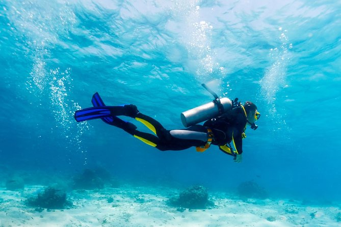 Scuba Referral Dives & Beach Club With Transportation in Riviera Maya - Transportation to the Marina