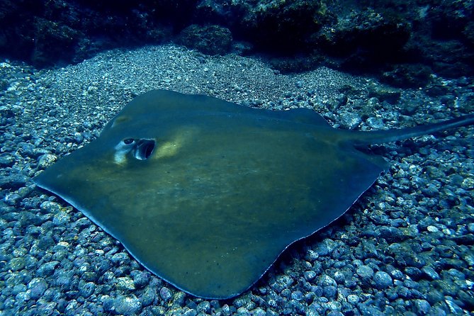 Scuba Refresher Course (Half Day) - Key Points