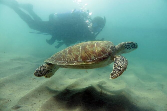 Scuba Tour for Certified Divers in San Juan - About Your Stay